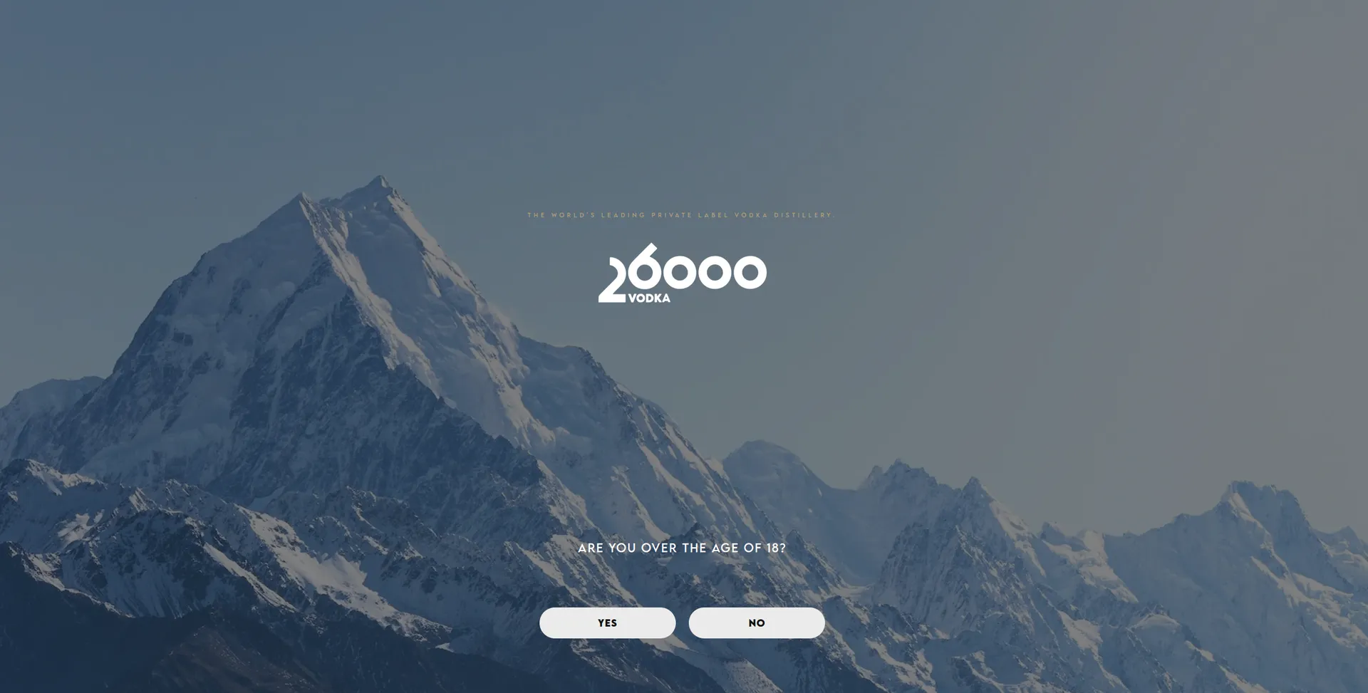 Custom Shopify Theme Development for 26000 Vodka gallery 1