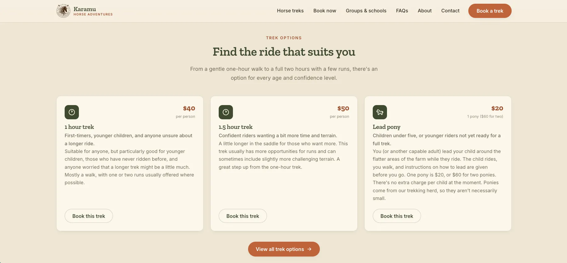 Bringing an old website into a new era gallery 1