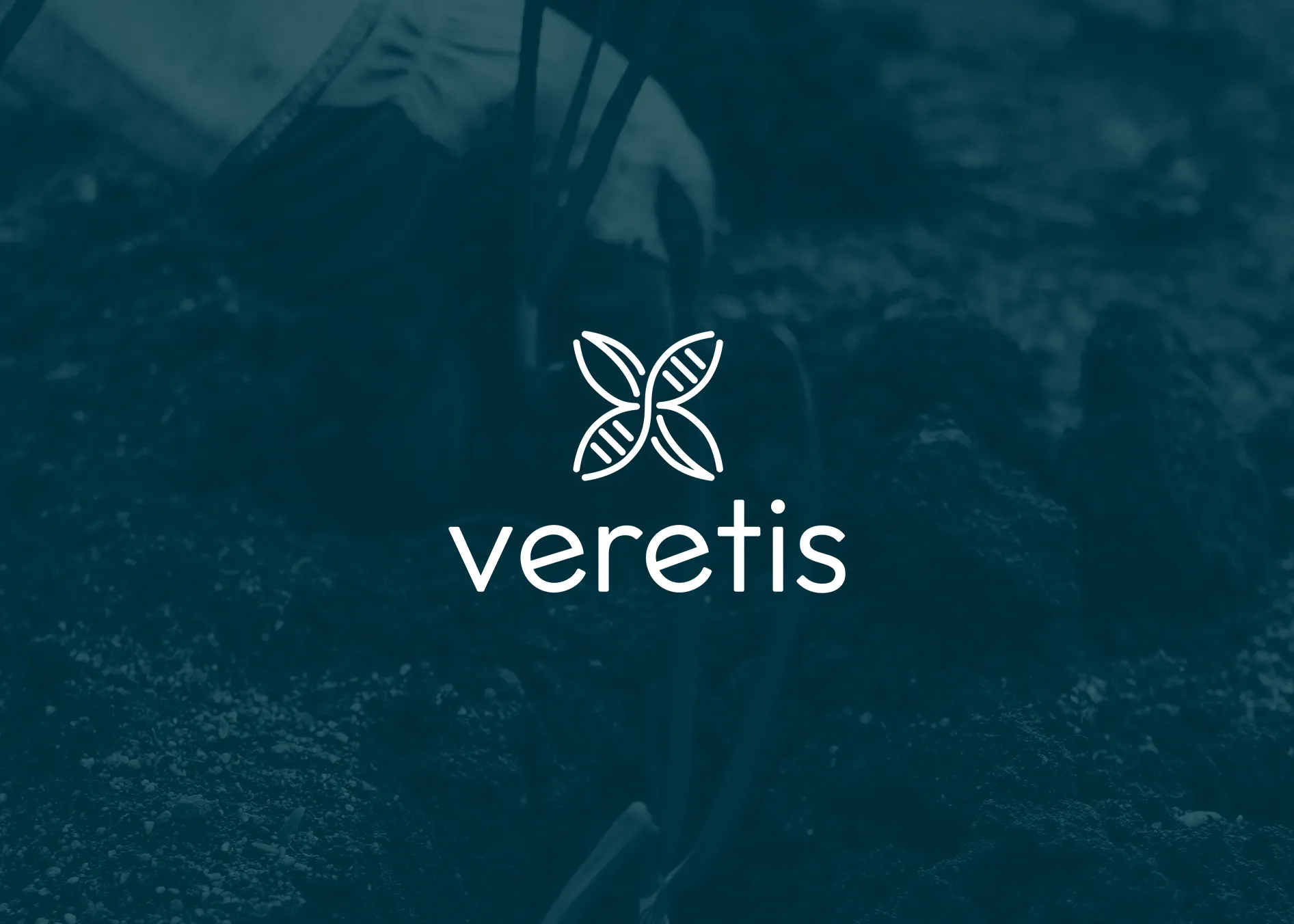 Veretis | Rebrand and Brand Story