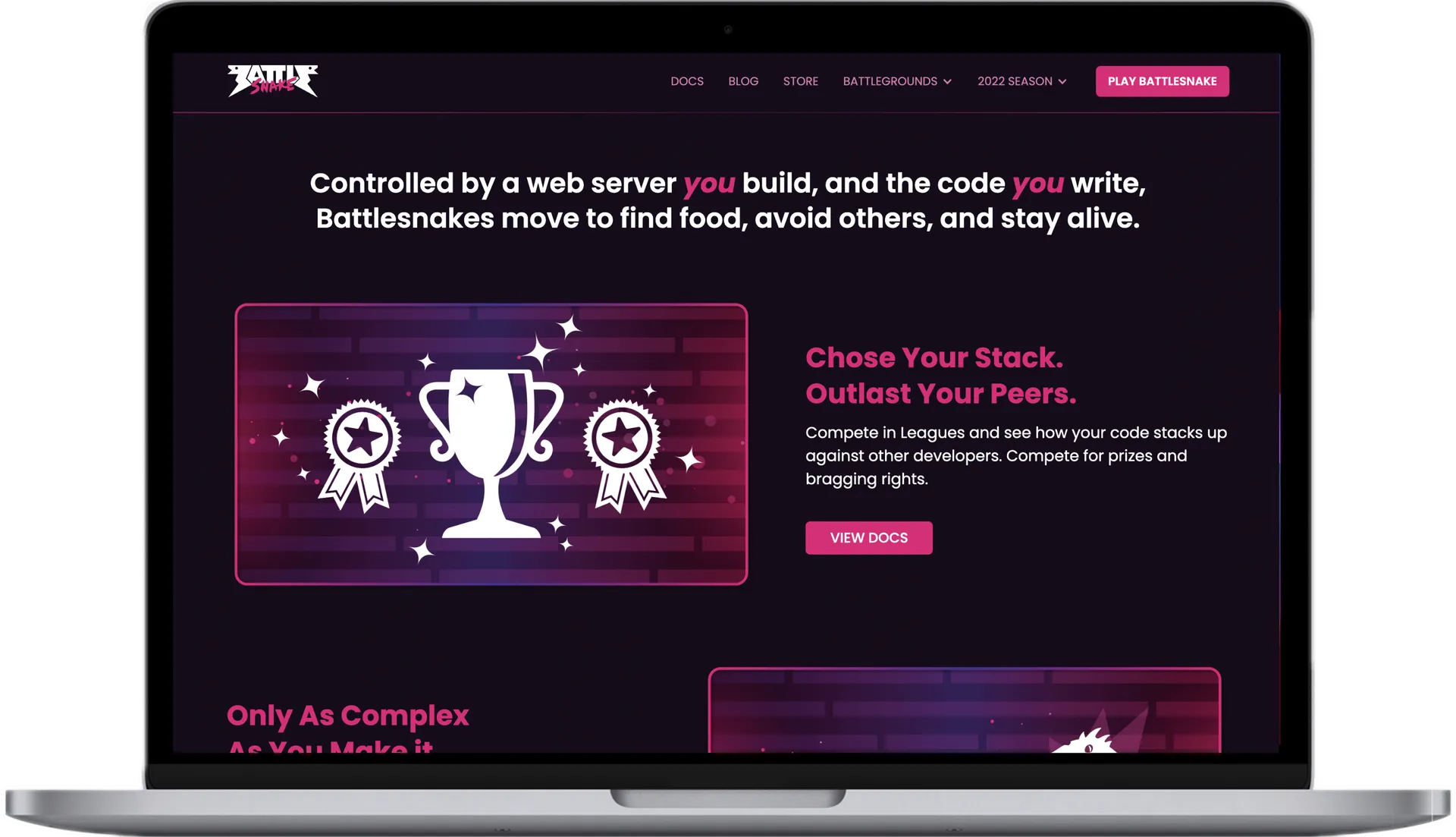 Landing Page Development for Battlesnake Gaming Company gallery 2