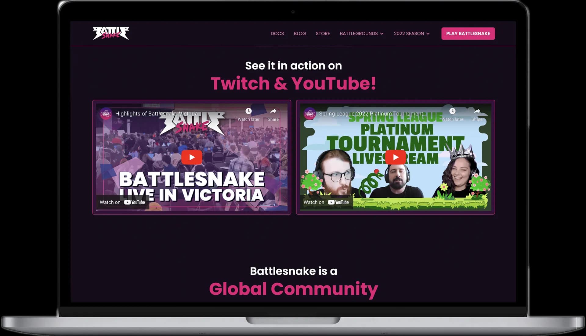 Landing Page Development for Battlesnake Gaming Company gallery 3