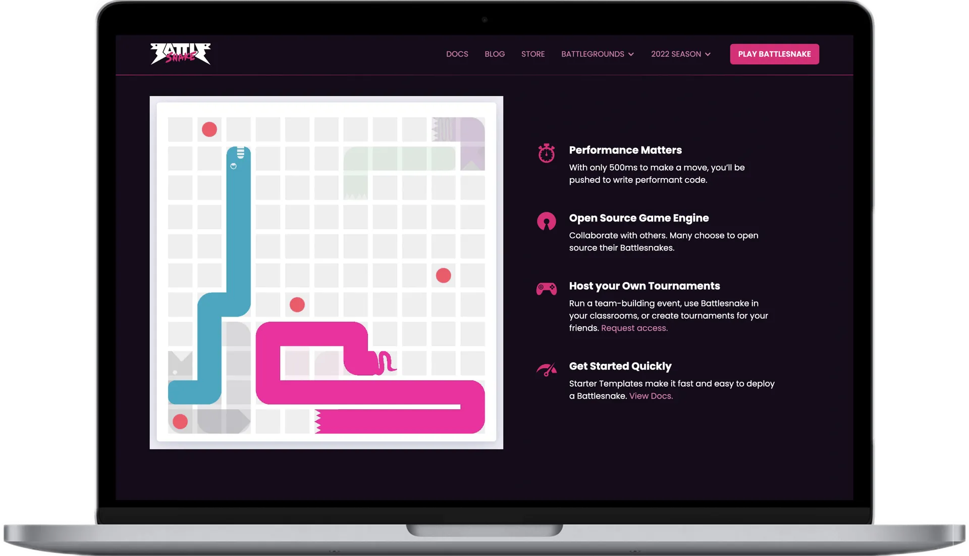 Landing Page Development for Battlesnake Gaming Company gallery 4