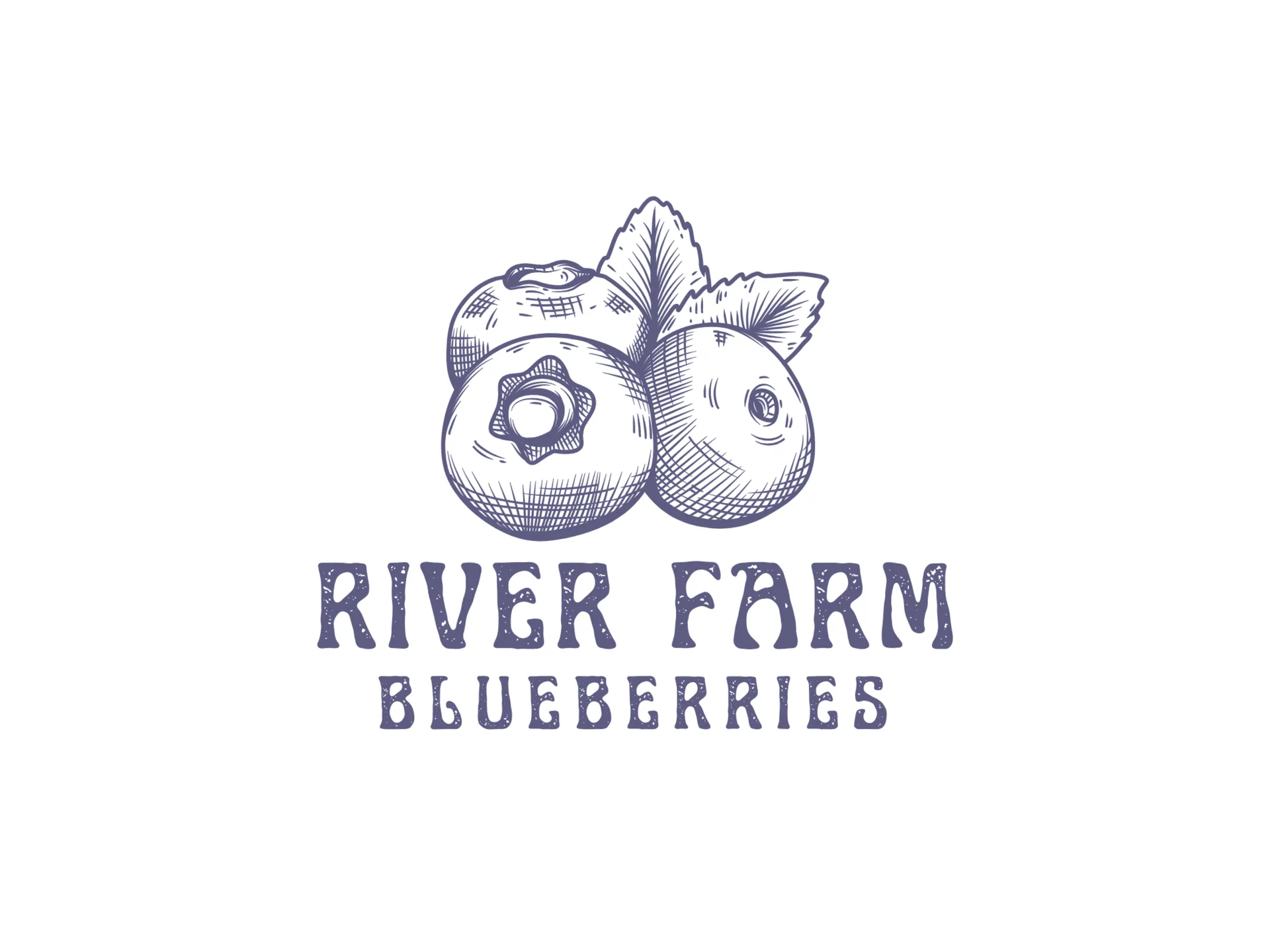 Hand-Drawn Organic Blueberry Farm Logo Design gallery 1
