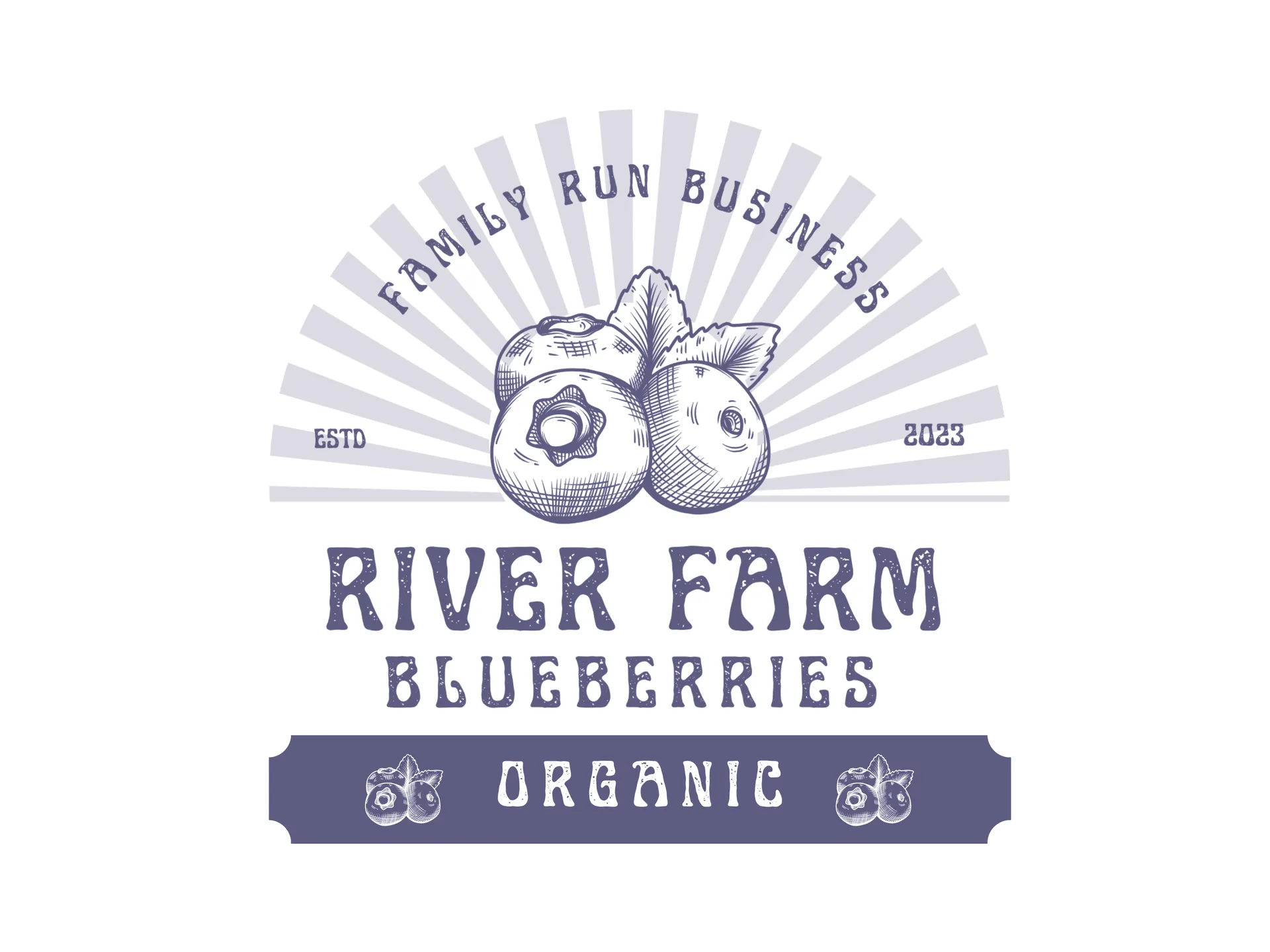 Hand-Drawn Organic Blueberry Farm Logo Design gallery 3