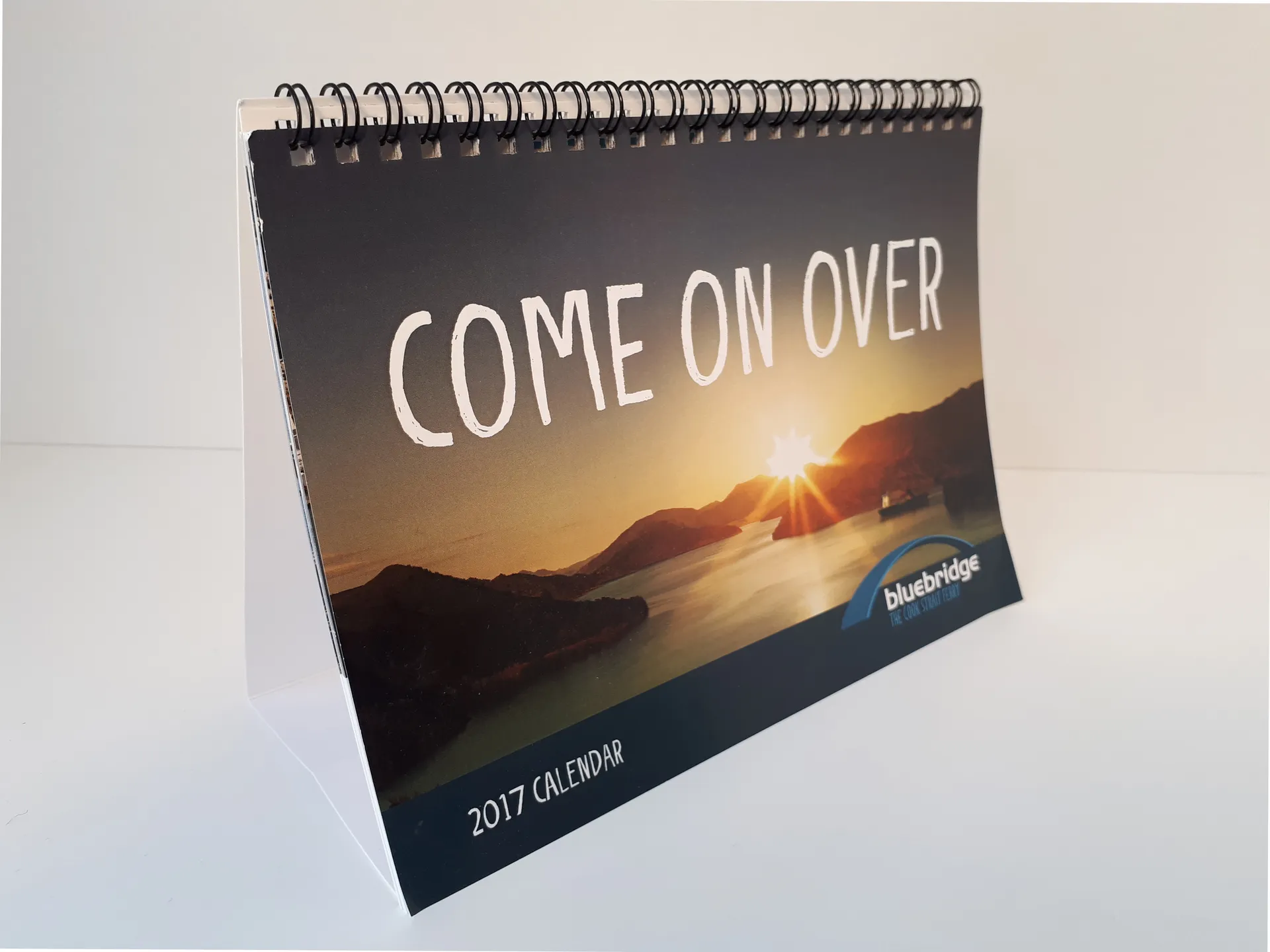 Marketing Collateral Design for Bluebridge gallery 3