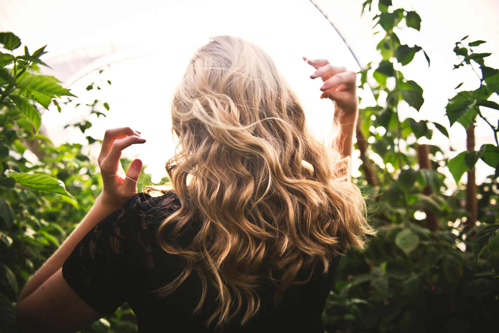 Monthly SEO-Optimized Blog Writing for Vivo Hair Salons