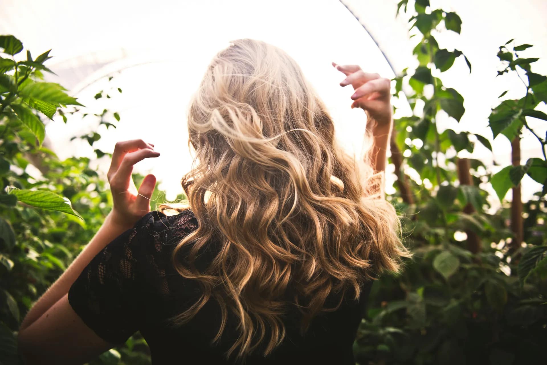Monthly SEO-Optimized Blog Writing for Vivo Hair Salons