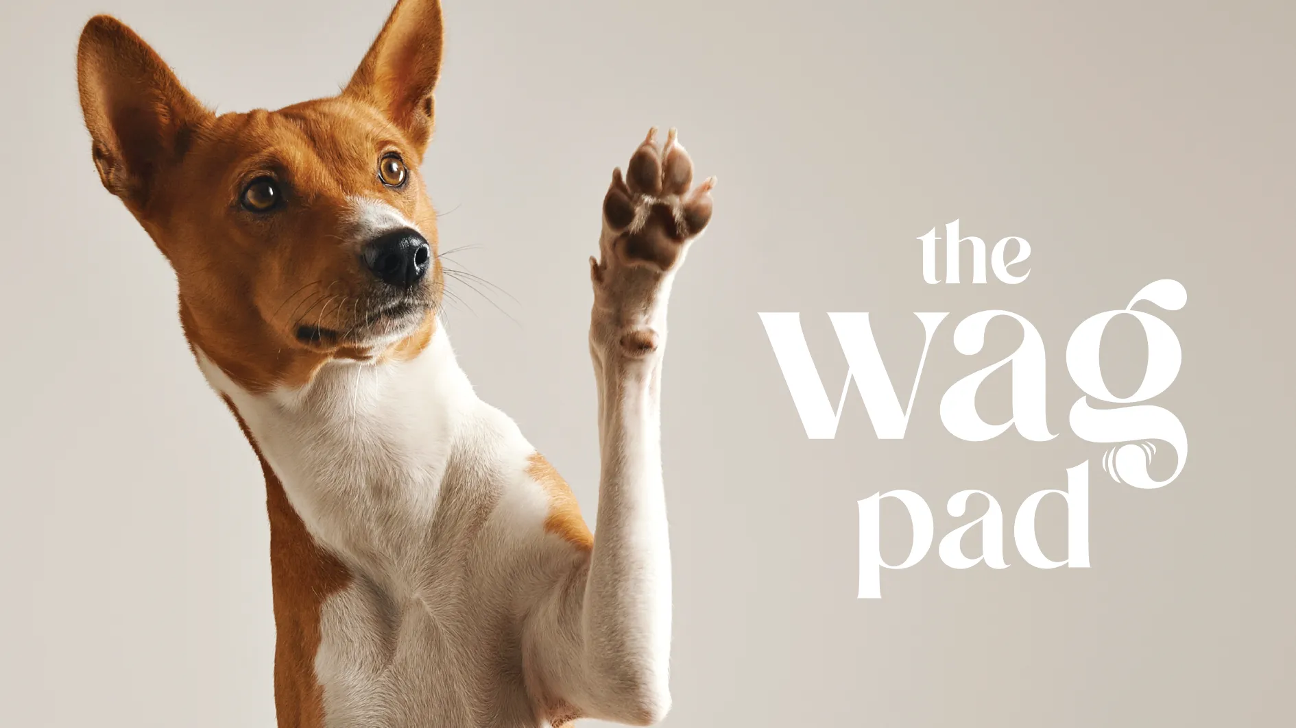 Branding & Product Design for The Wag Pad – Eco-Friendly Pet Solutions
