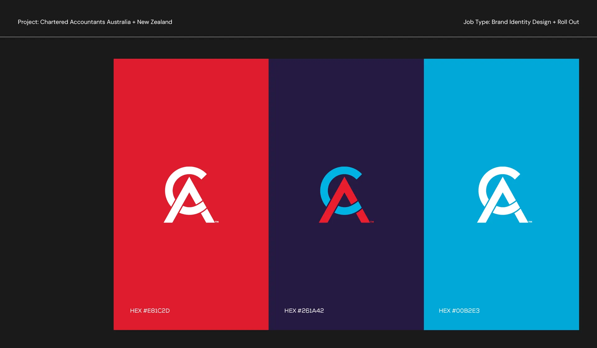 Brand Refresh for CA ANZ: Visual Identity and Leadership Positioning gallery 1
