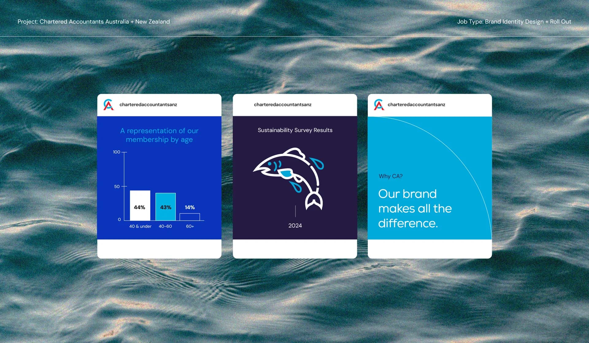 Brand Refresh for CA ANZ: Visual Identity and Leadership Positioning gallery 5