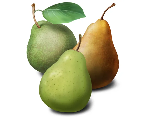 Illustrated Product Range for Ceres Organics Packaging gallery 3