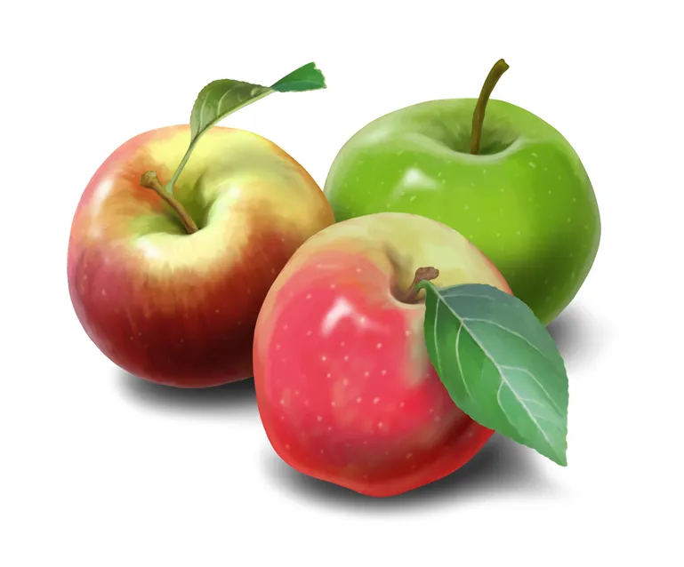 Illustrated Product Range for Ceres Organics Packaging