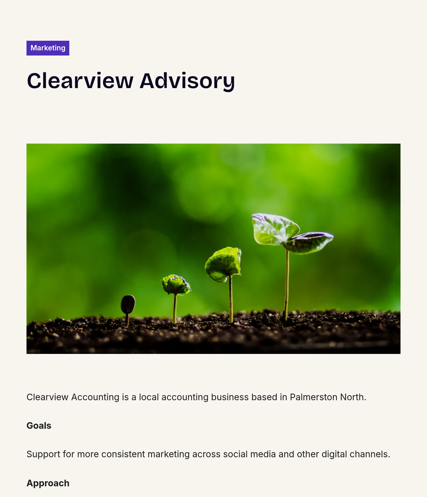 Digital Marketing & Social Media Management for Clearview Accounting