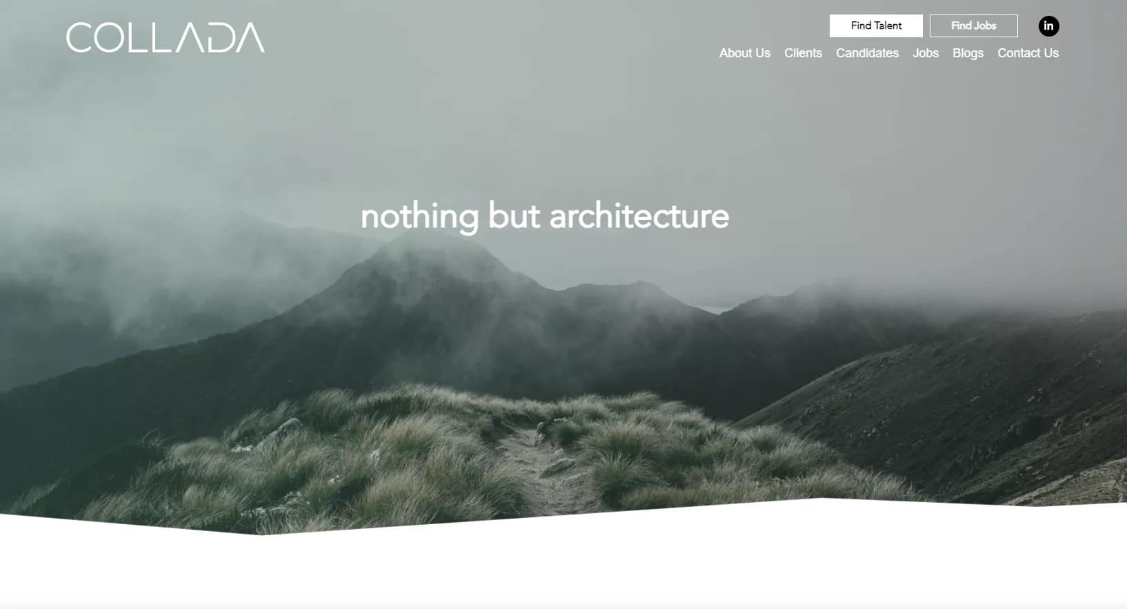 Brand Strategy Workshop and Identity Development for Collada