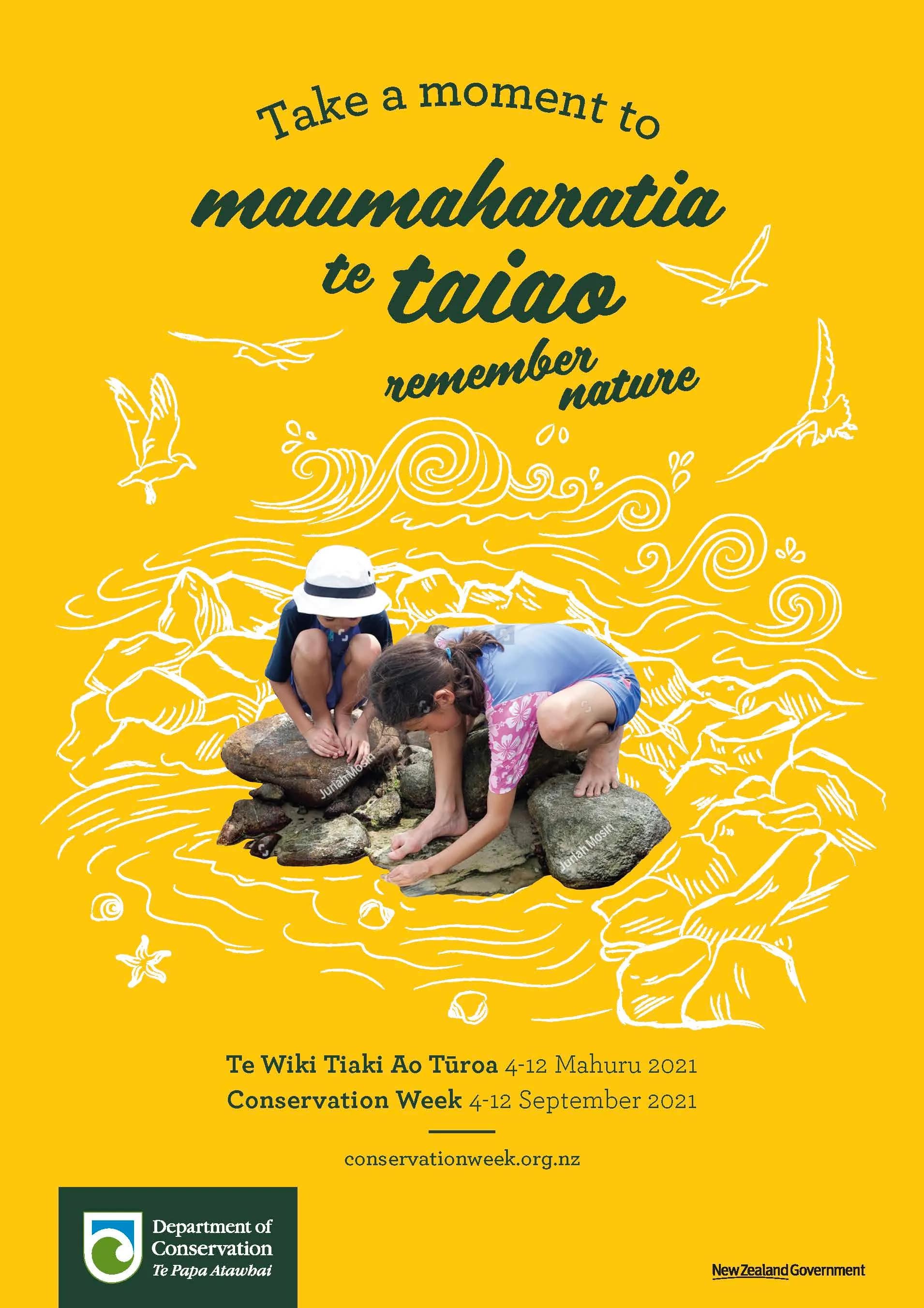 Conservation Week Campaign Visuals & Illustrations for The Department of Conservation gallery 3