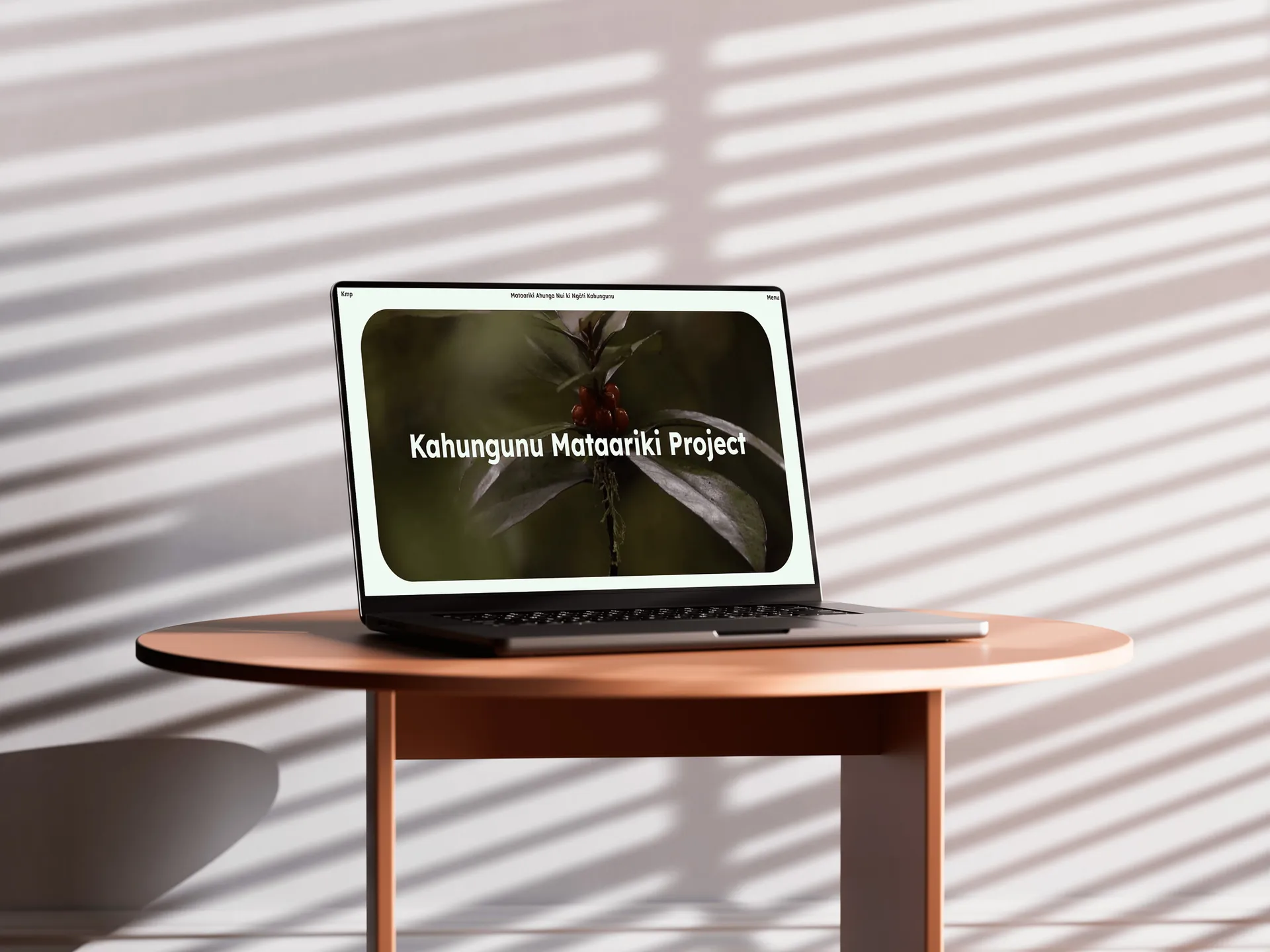 Website Design & Development for Kahungunu Mataariki Project gallery 2