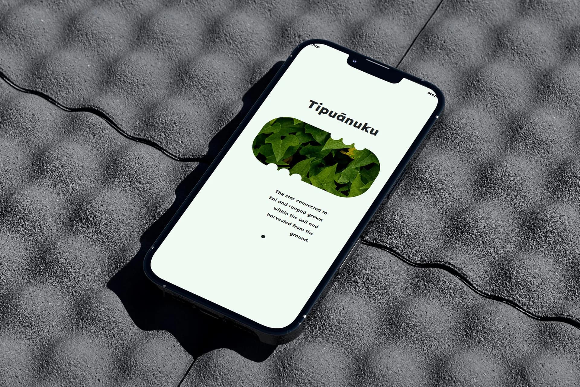 Website Design & Development for Kahungunu Mataariki Project gallery 4