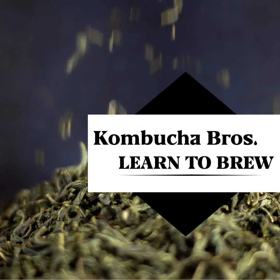 Digital Product Launch: Learn to Brew Kombucha Guide for Kombucha Bros gallery 1