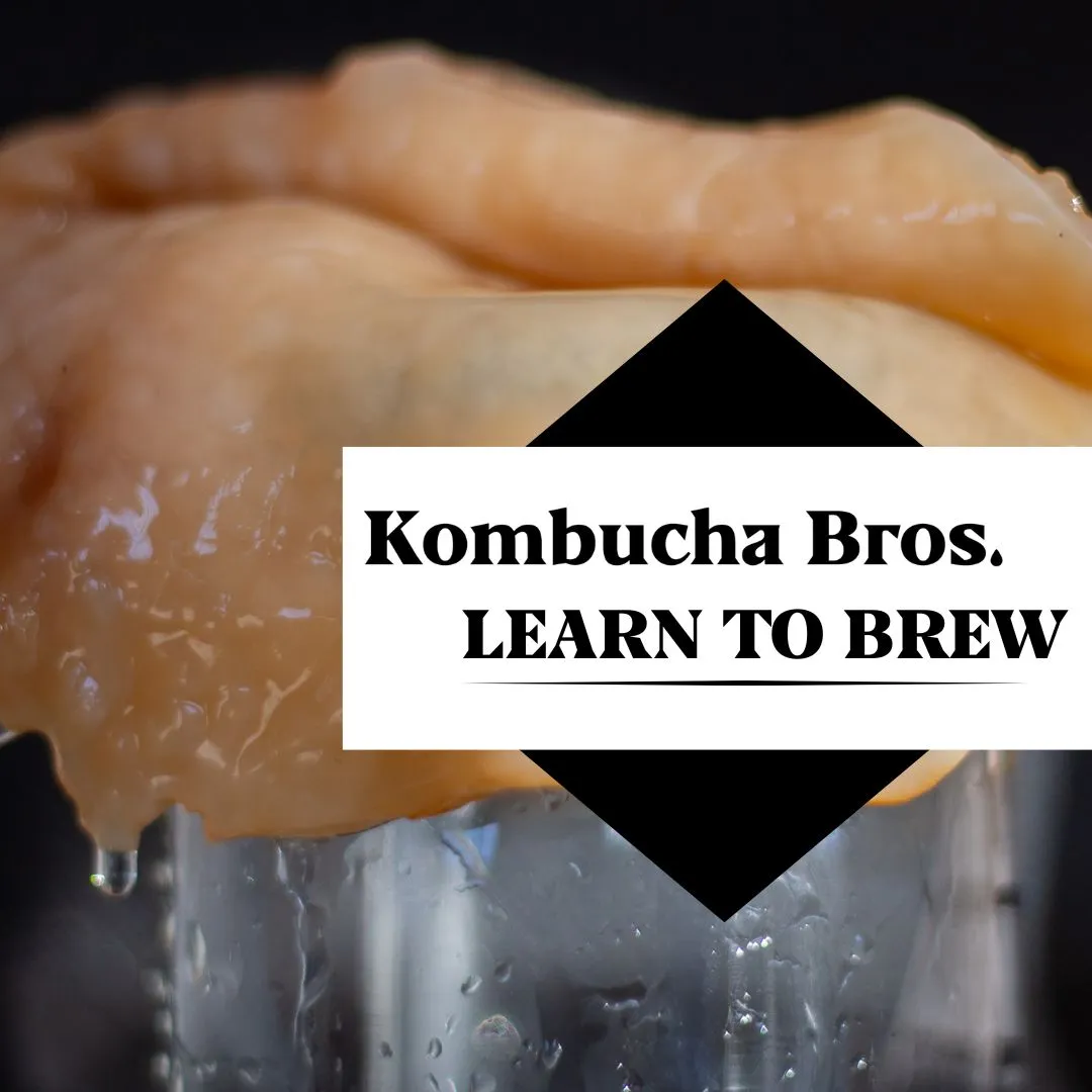 Digital Product Launch: Learn to Brew Kombucha Guide for Kombucha Bros gallery 2