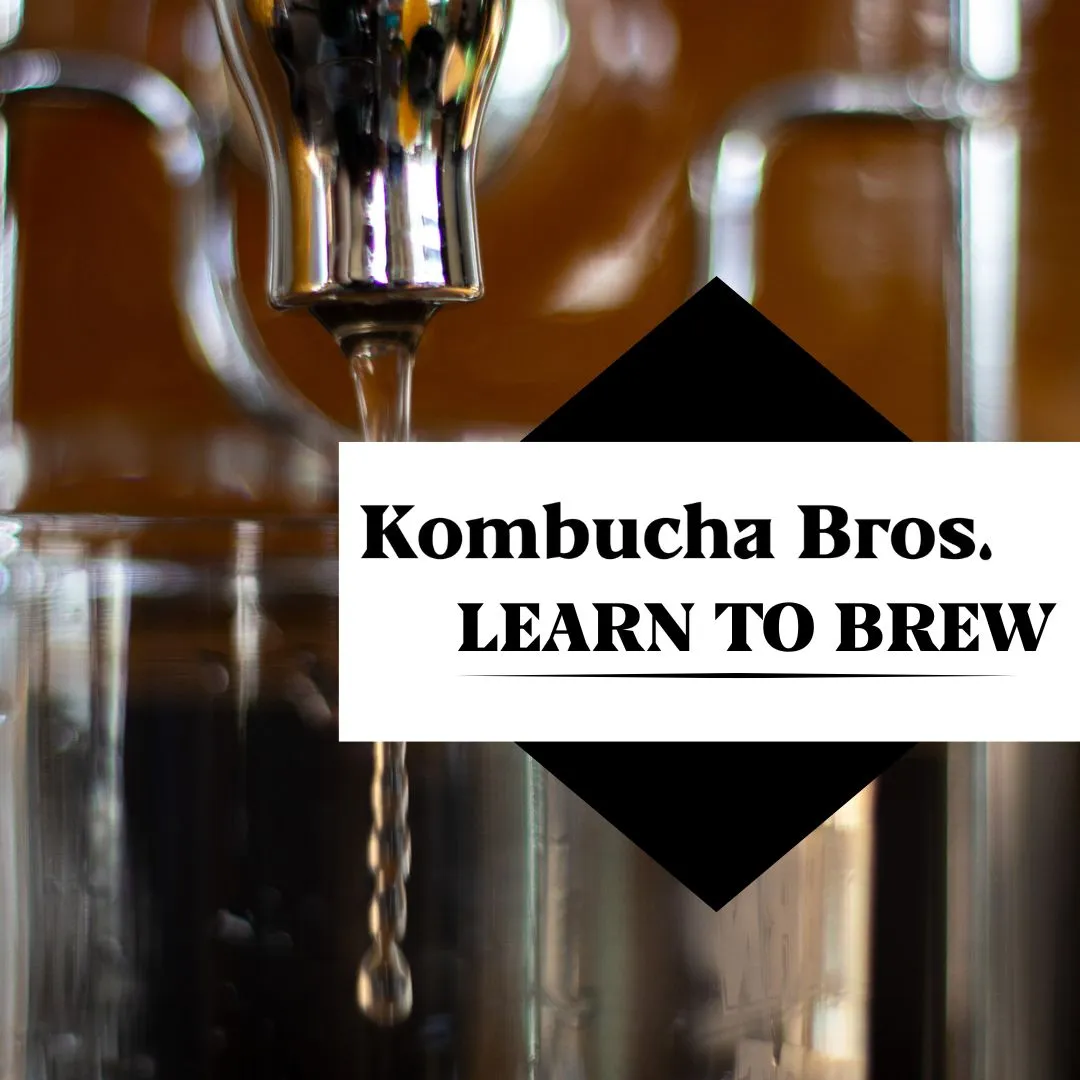 Digital Product Launch: Learn to Brew Kombucha Guide for Kombucha Bros gallery 3