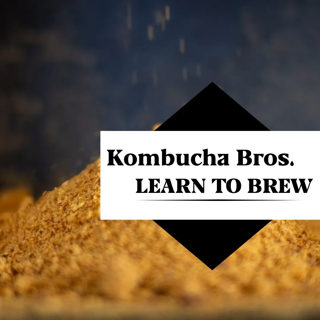 Digital Product Launch: Learn to Brew Kombucha Guide for Kombucha Bros gallery 4