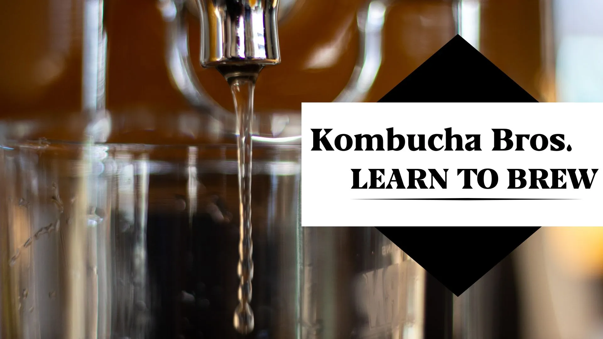 Digital Product Launch: Learn to Brew Kombucha Guide for Kombucha Bros