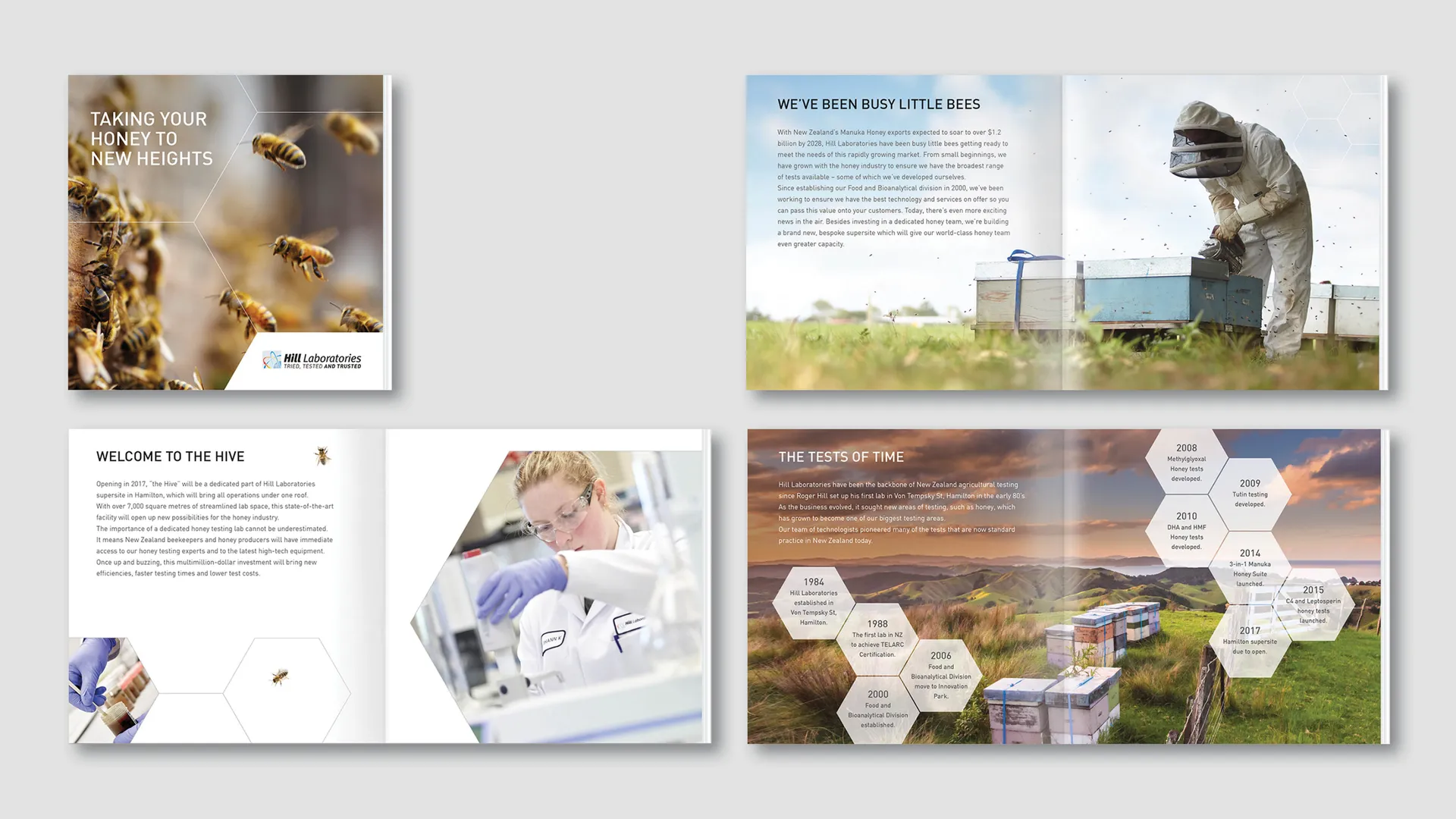 Beehive Direct Mail Campaign for Hills Laboratories gallery 2