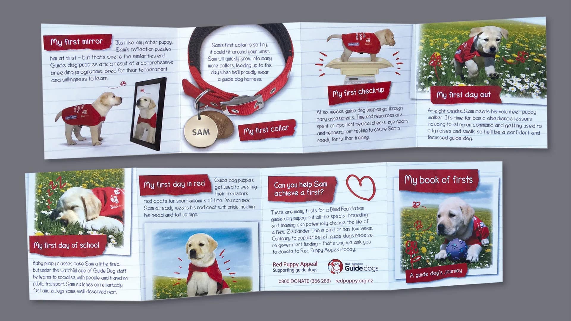 Booklet Design for Guide Dogs Fundraising Campaign gallery 1