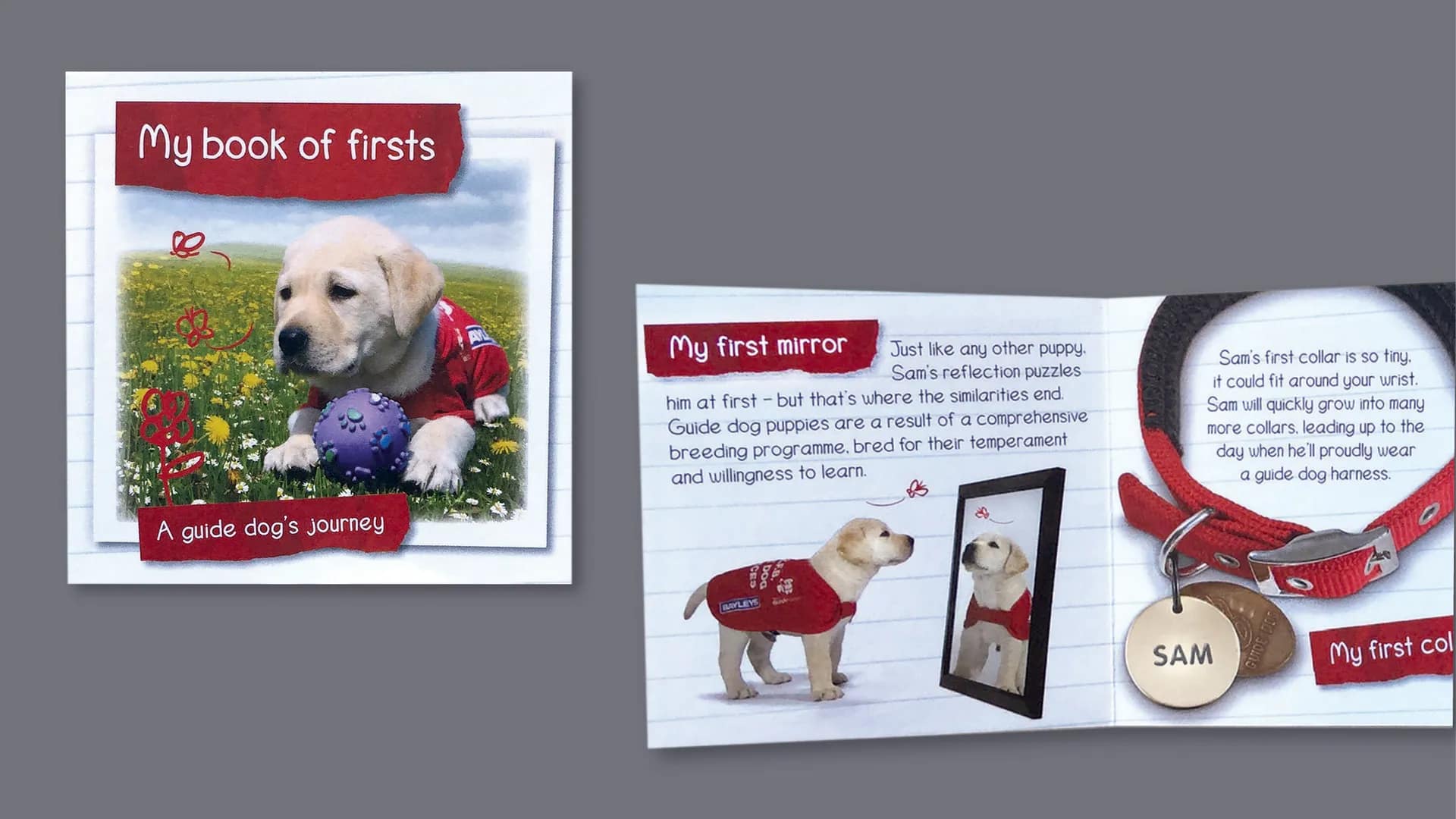 Booklet Design for Guide Dogs Fundraising Campaign
