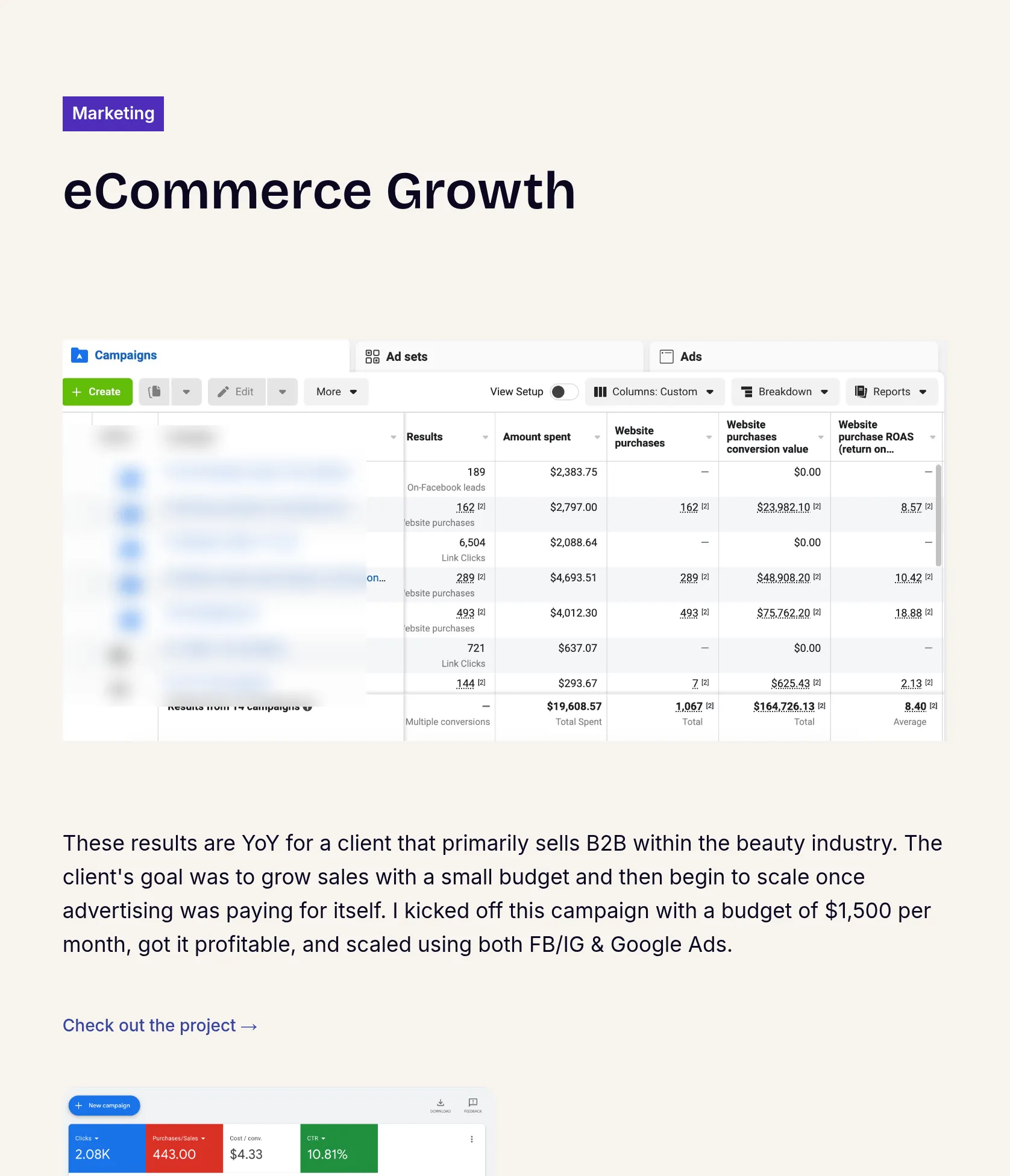 Profitable B2B Beauty Industry Ad Campaign for Sales Growth