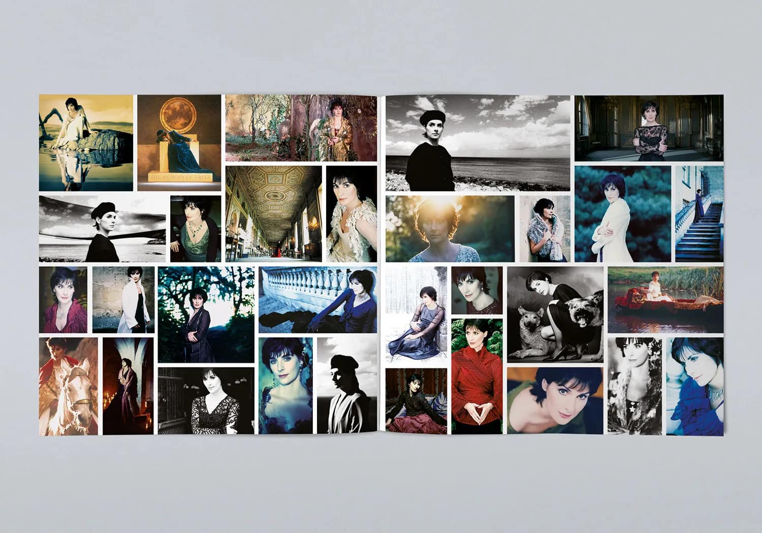 Bold Album Artwork and Promotional Design for Enya Tribute gallery 5