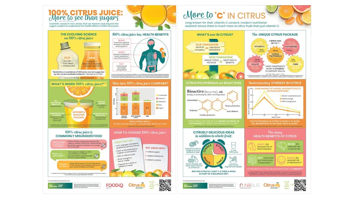 Design of Scientific White Paper, Brochures & Infographics for FoodiQ gallery 4