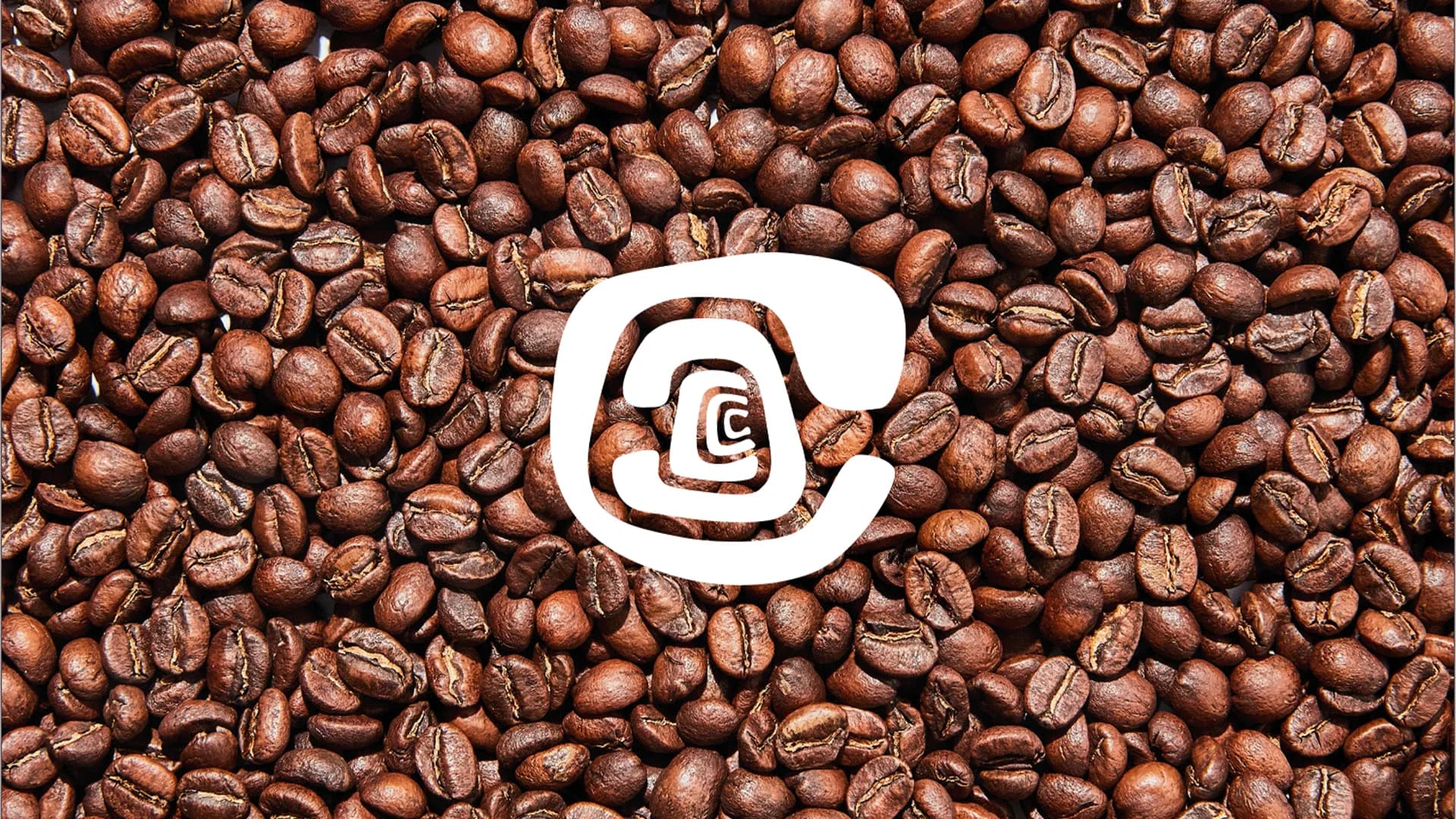 Full Business Rebrand with Logo and Brand Guidelines
