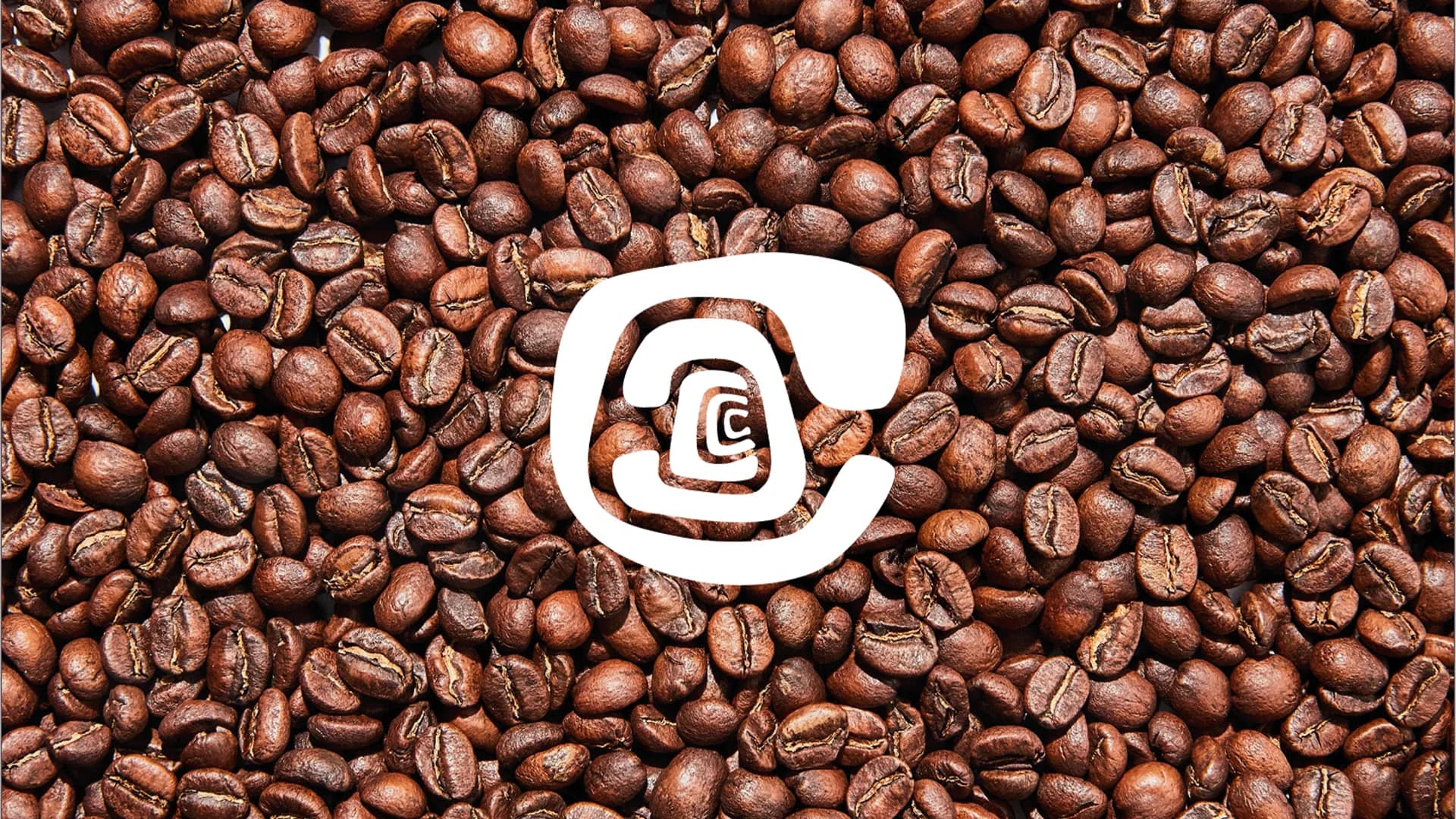 Full Business Rebrand with Logo and Brand Guidelines