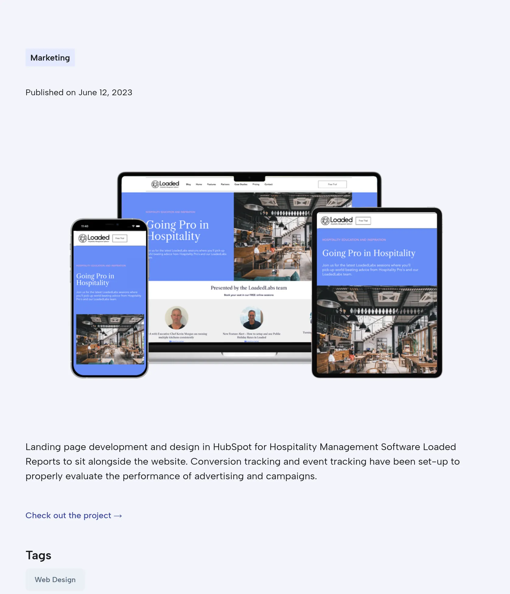 Landing Page Design & Development for Loaded Reports Hospitality Software screenshot
