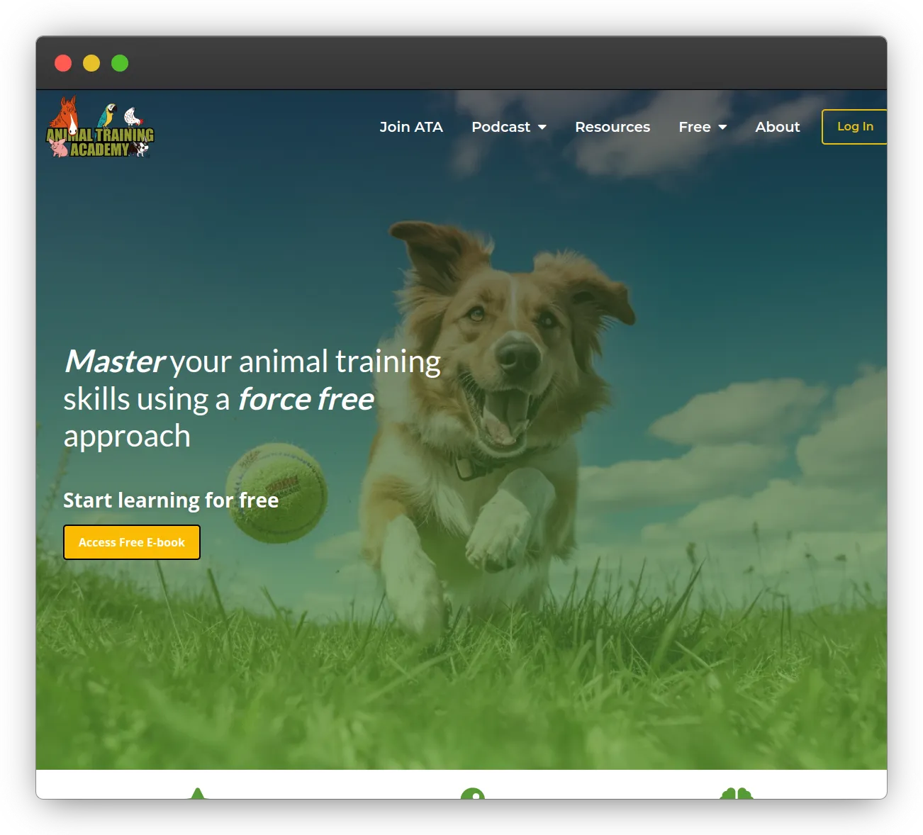 Transforming Animal Training Academy's Membership Growth with Targeted Marketing Strategy