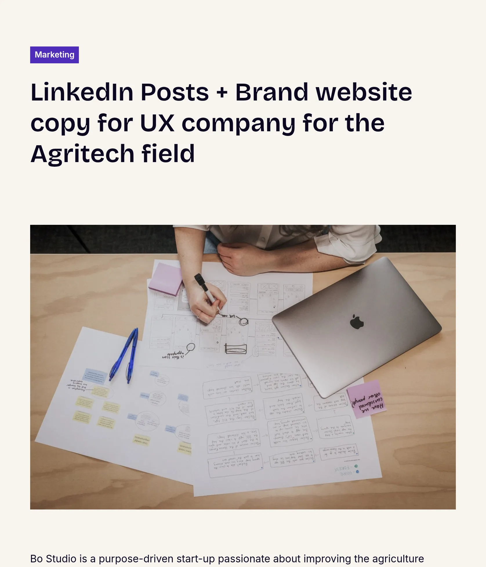 Content Partner: Brand Identity, Website + Blogs for Bo Studio