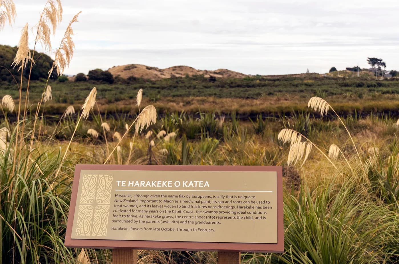 Interpretive Signage Design for Kapiti Coast Cycleway project image