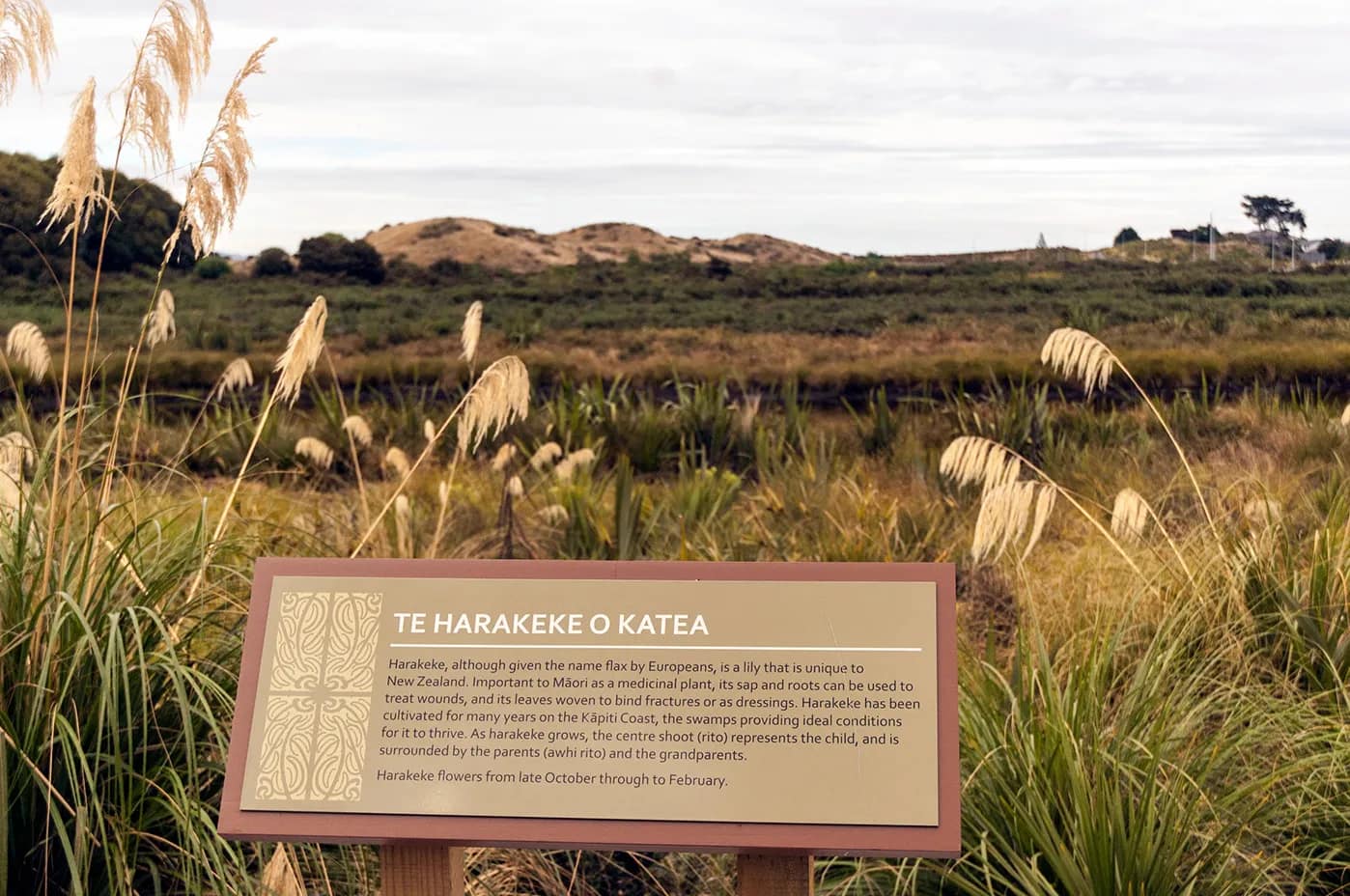 Interpretive Signage Design for Kapiti Coast Cycleway gallery 4