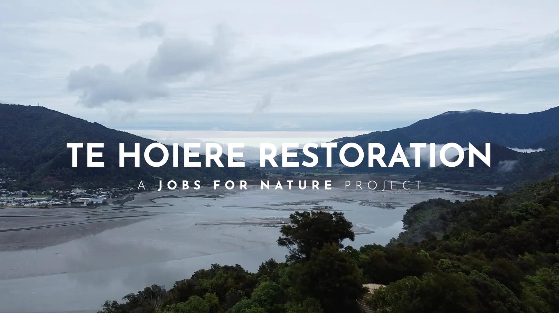 Short Documentary Series on Environmental Restoration for Ministry for the Environment