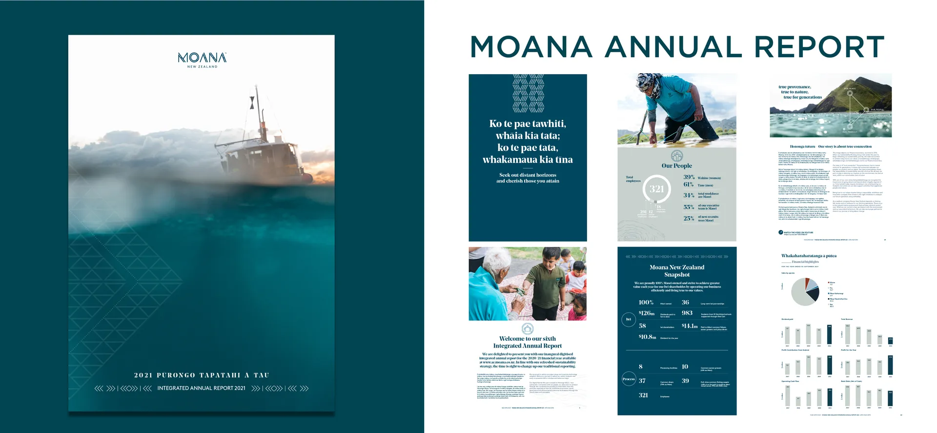 Graphic Design and Production of 111-Page Annual Report