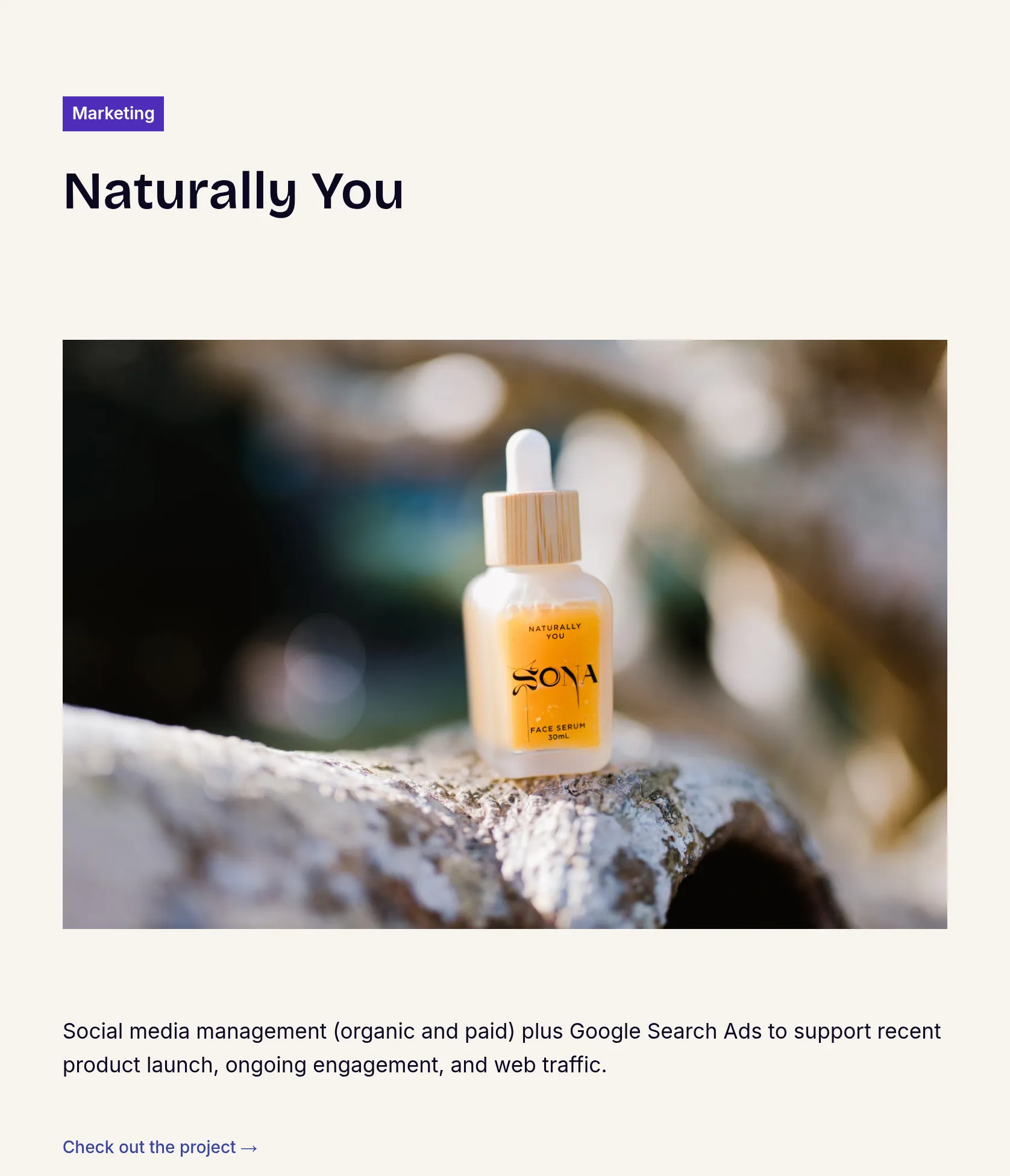 Social Media & Google Ads Campaign for Product Launch
