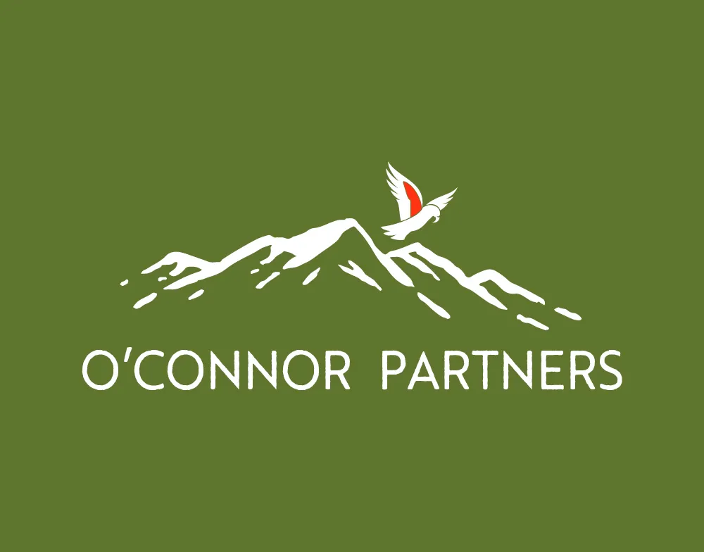 Branding and Website Design for O'Connor Partners gallery 4