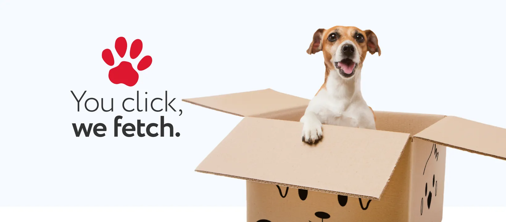Facebook Ads Strategy for Pet.co.nz