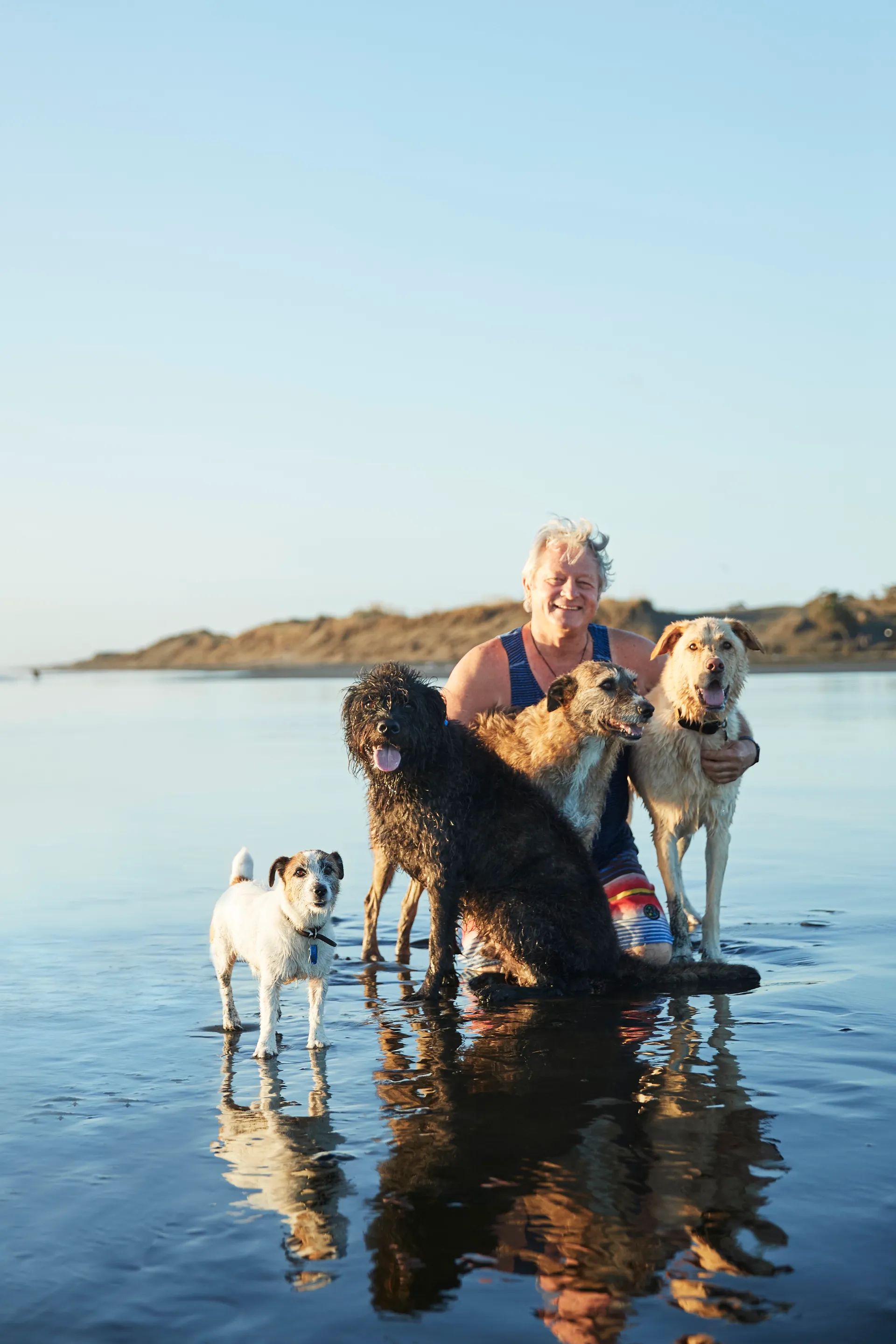 Comprehensive Digital Marketing Overhaul & Rebrand for DogZen