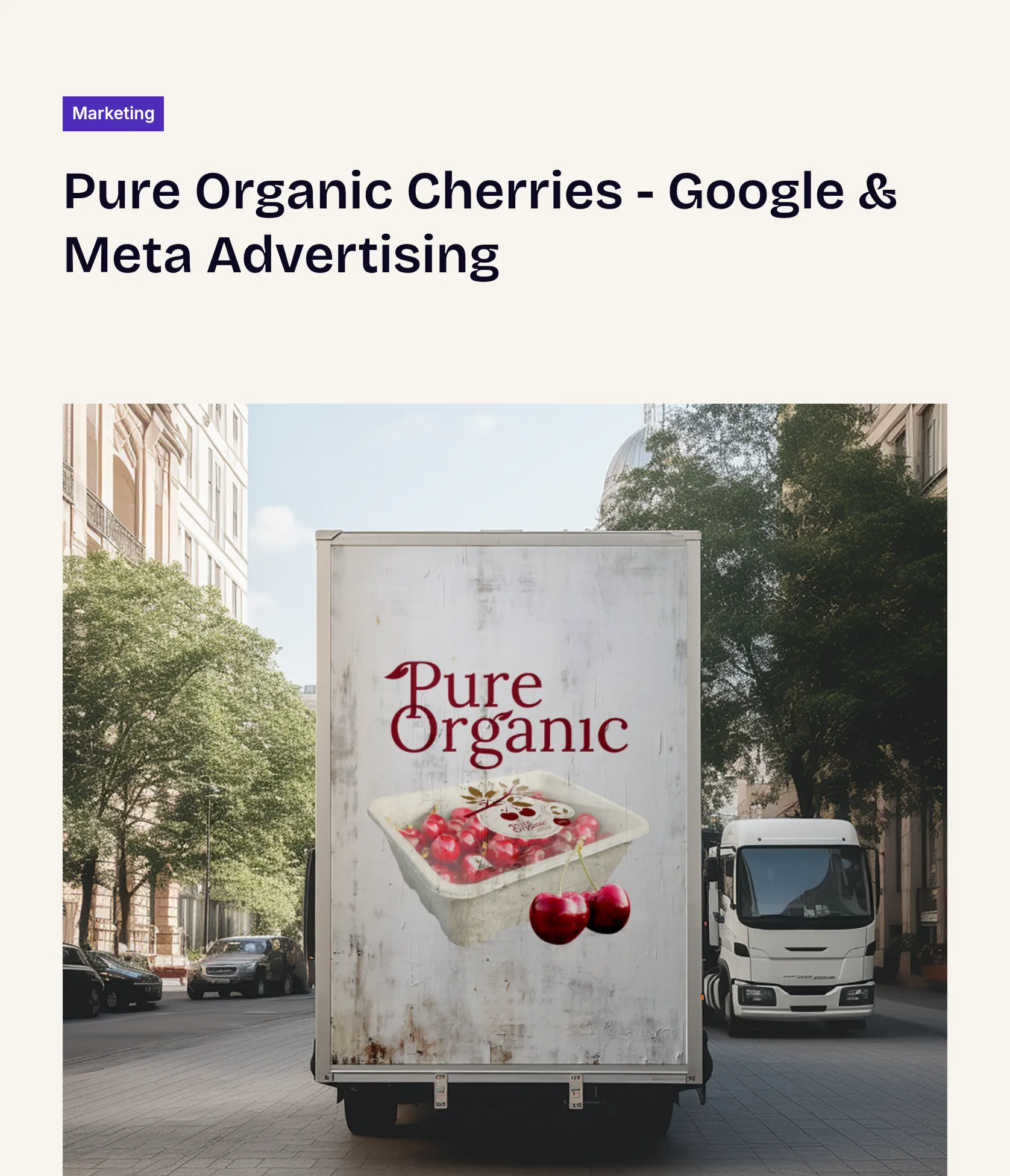Paid Advertising Campaign for Pure Organic Cherries' Holiday Launch screenshot