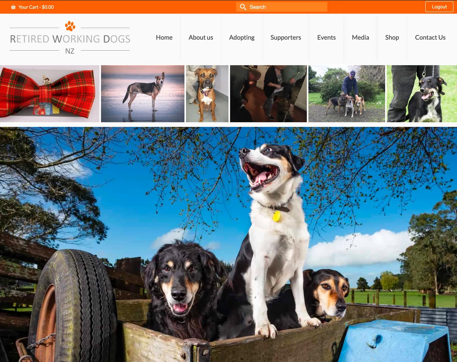 Website & Adoption Management Platform for Dog Charity