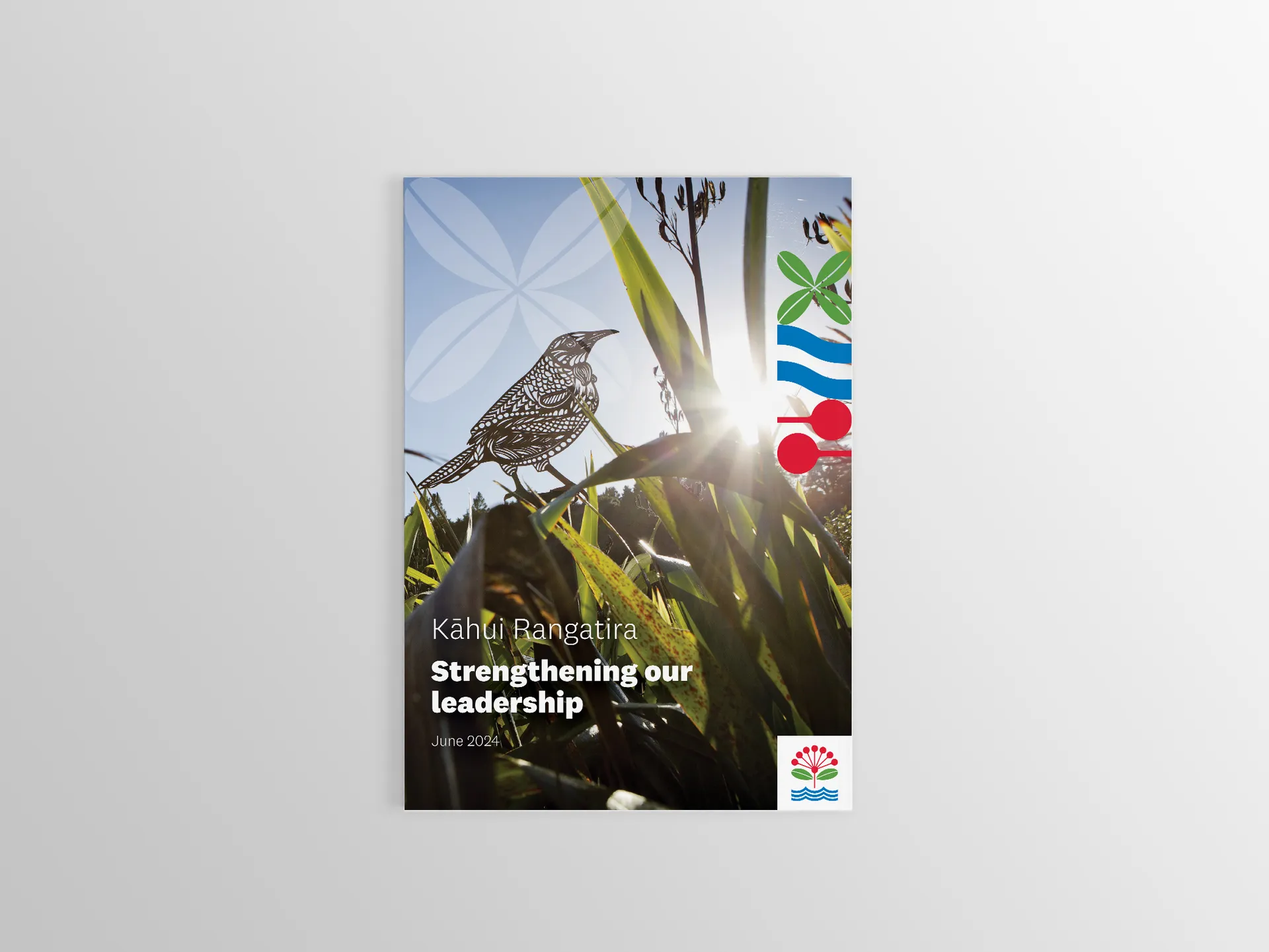 Strategic Report Design and Communication for Auckland Council