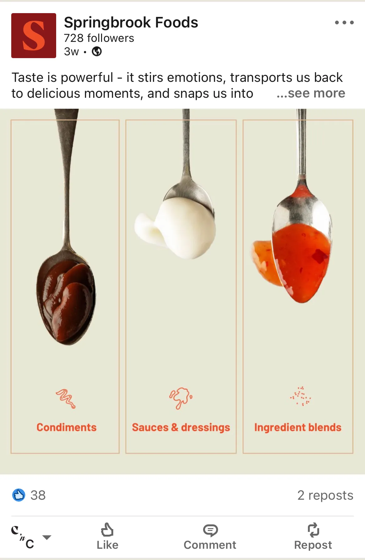 LinkedIn Content Strategy and Execution for Springbrook Foods gallery 1