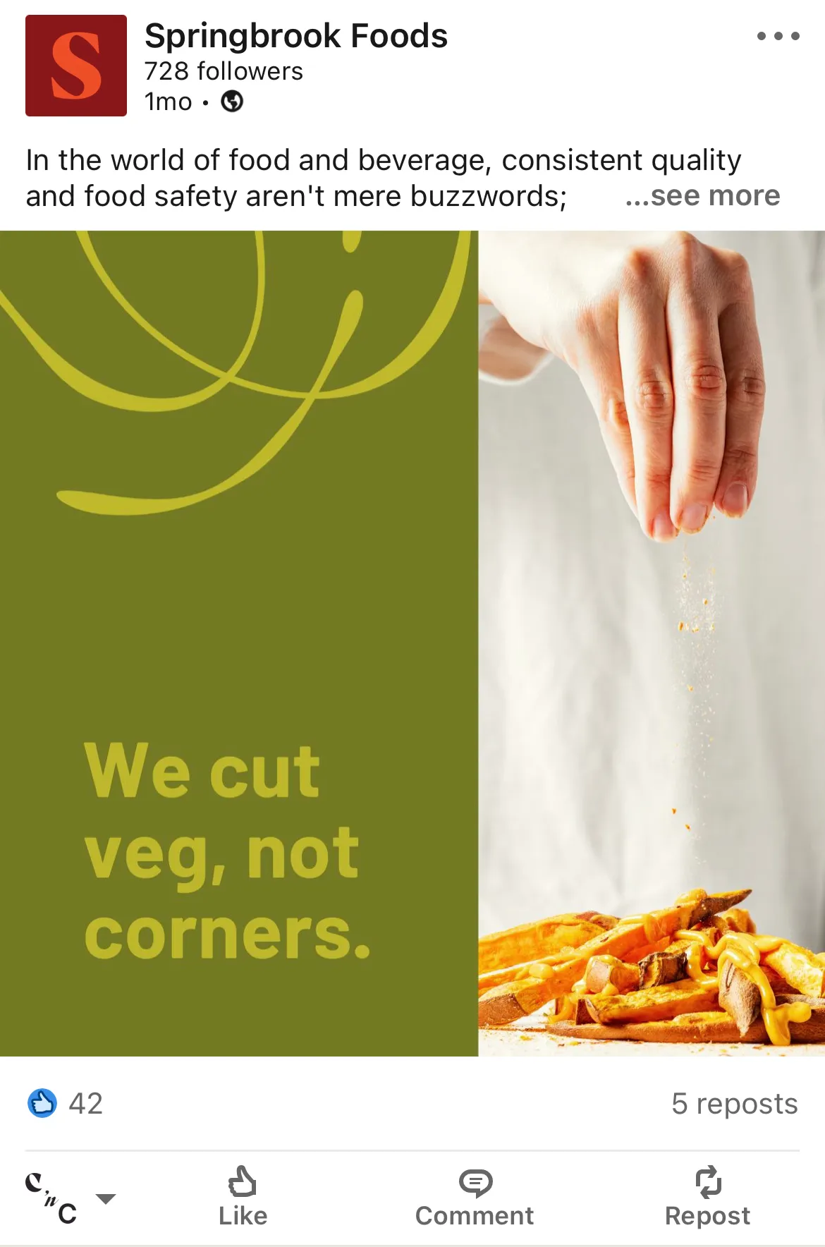 LinkedIn Content Strategy and Execution for Springbrook Foods gallery 2